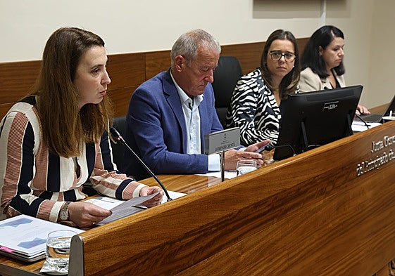 Cristina González Morán, a la izquierda, durante su comparecencia en la Comisión de Ciencia.