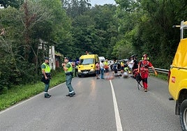 Guardia Civil, Bomberos y sanitarios atienden a las víctimas del accidente, en una curva próxima a la localidad de Vibañu de la carretera de Posada de Llanes a La Robellada.
