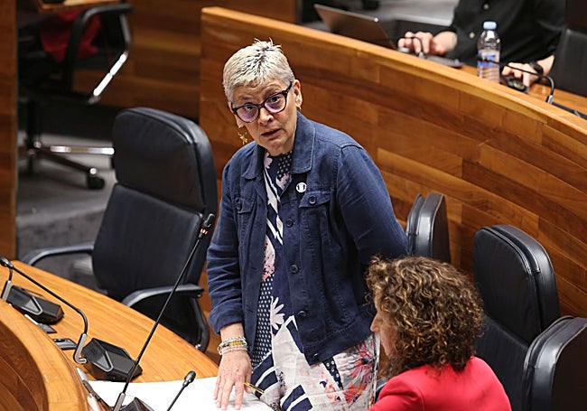 Imagen de archivo de la consejera de Sanidad en la Junta General del Principado.