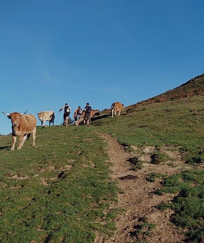 Imagen secundaria 2 - Ruta a Cabeza Pandescura: el balcón perfecto en Onís para admirar los Picos de Europa