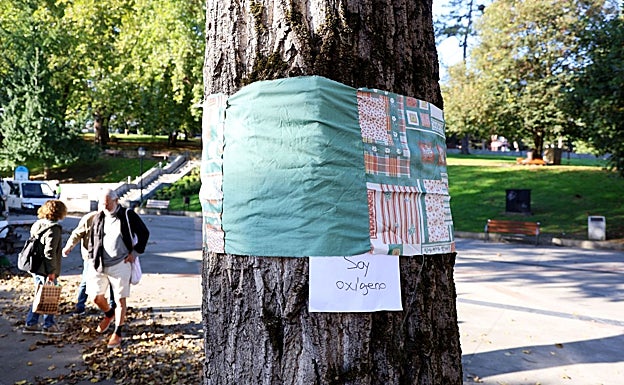 'Soy oxígeno', uno de los carteles puestos en un árbol de El Campillín por los vecinos.