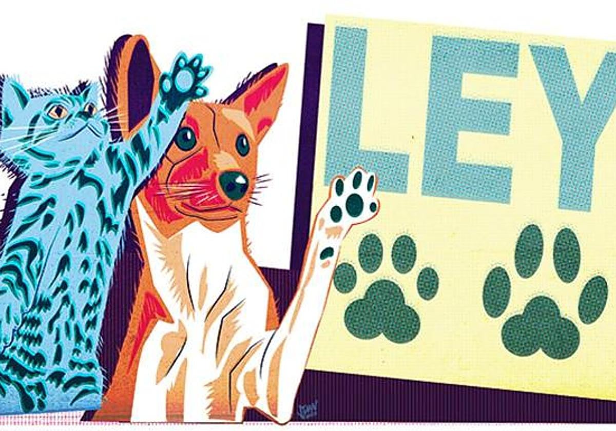 Susana Alfageme, abogada: «Una mascota no es un capricho, es parte de la familia. Y las normas fiscales deben tenerlo en cuenta»