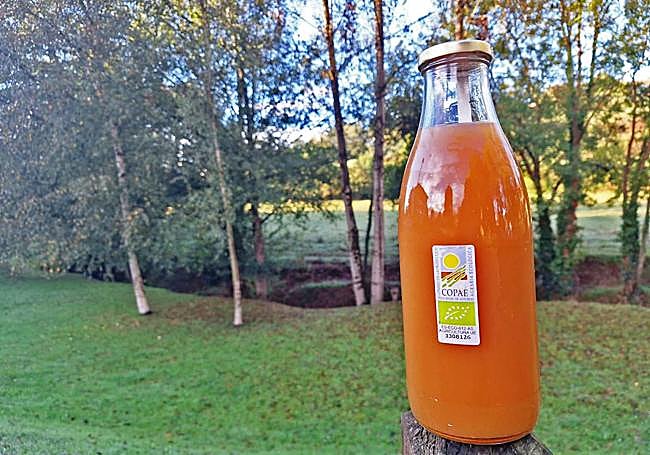 Etiquetas que certifican el cumplimiento de la normativa.