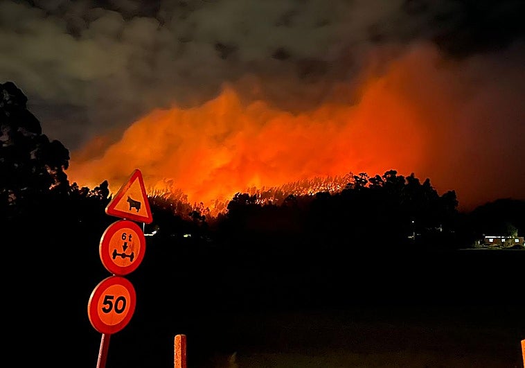Bomberos de Gijón y de Asturias trabajan de forma exhaustiva para intentar acotar las llamas.