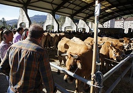Mercado de ganado de La Pola.