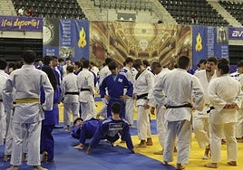 300 judocas participaron en el entrenamiento organizado por la Federación Asturiana previo al Villa de Avilés.