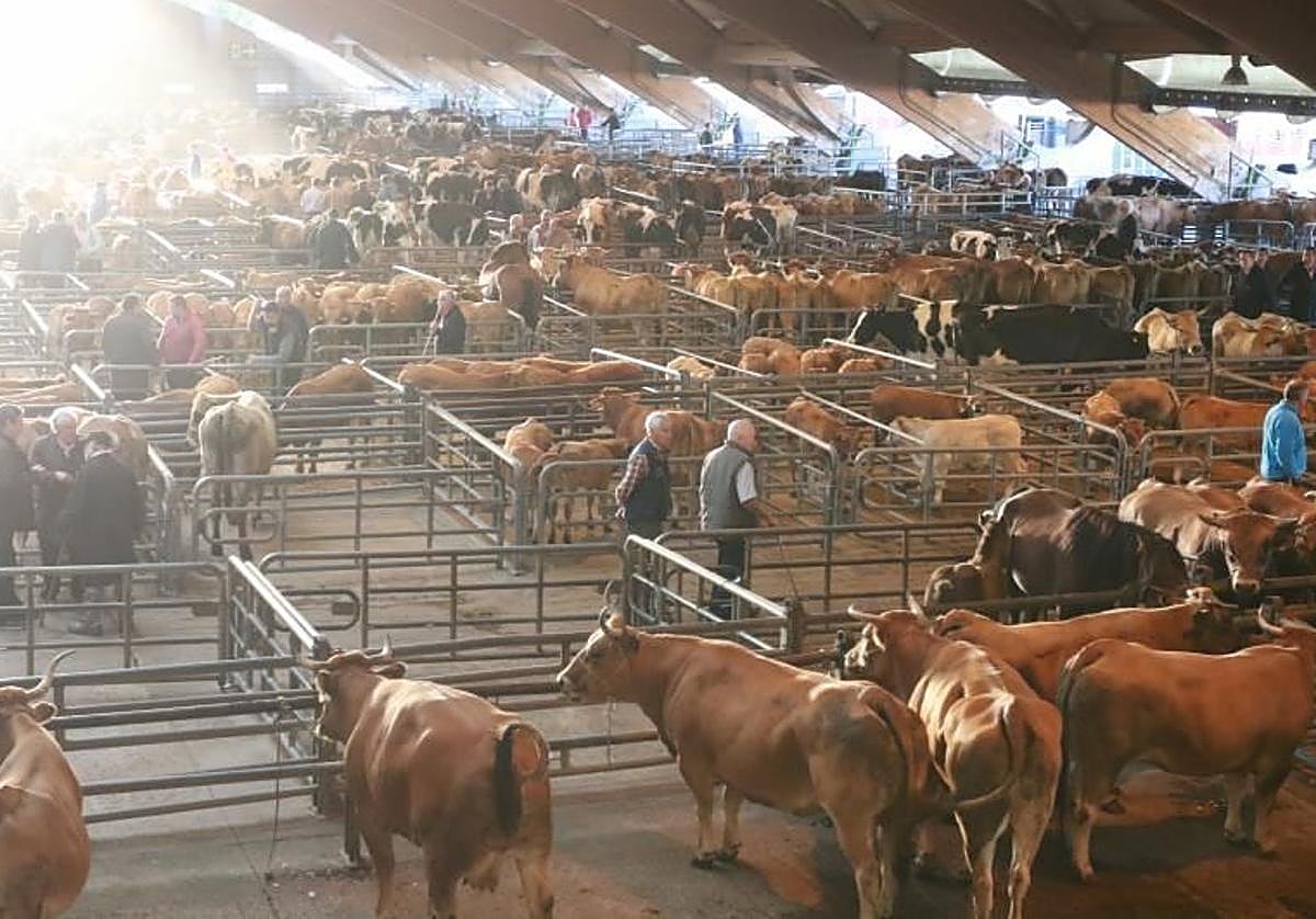 Mercado Nacional de Ganado de Pola de Siero.