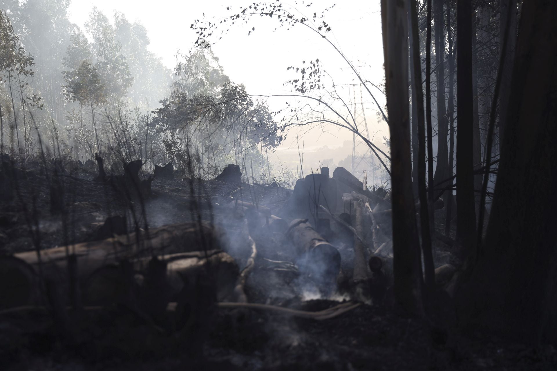 Así amaneció el Monte Areo, en Gijón: las desoladoras imágenes que deja el incendio