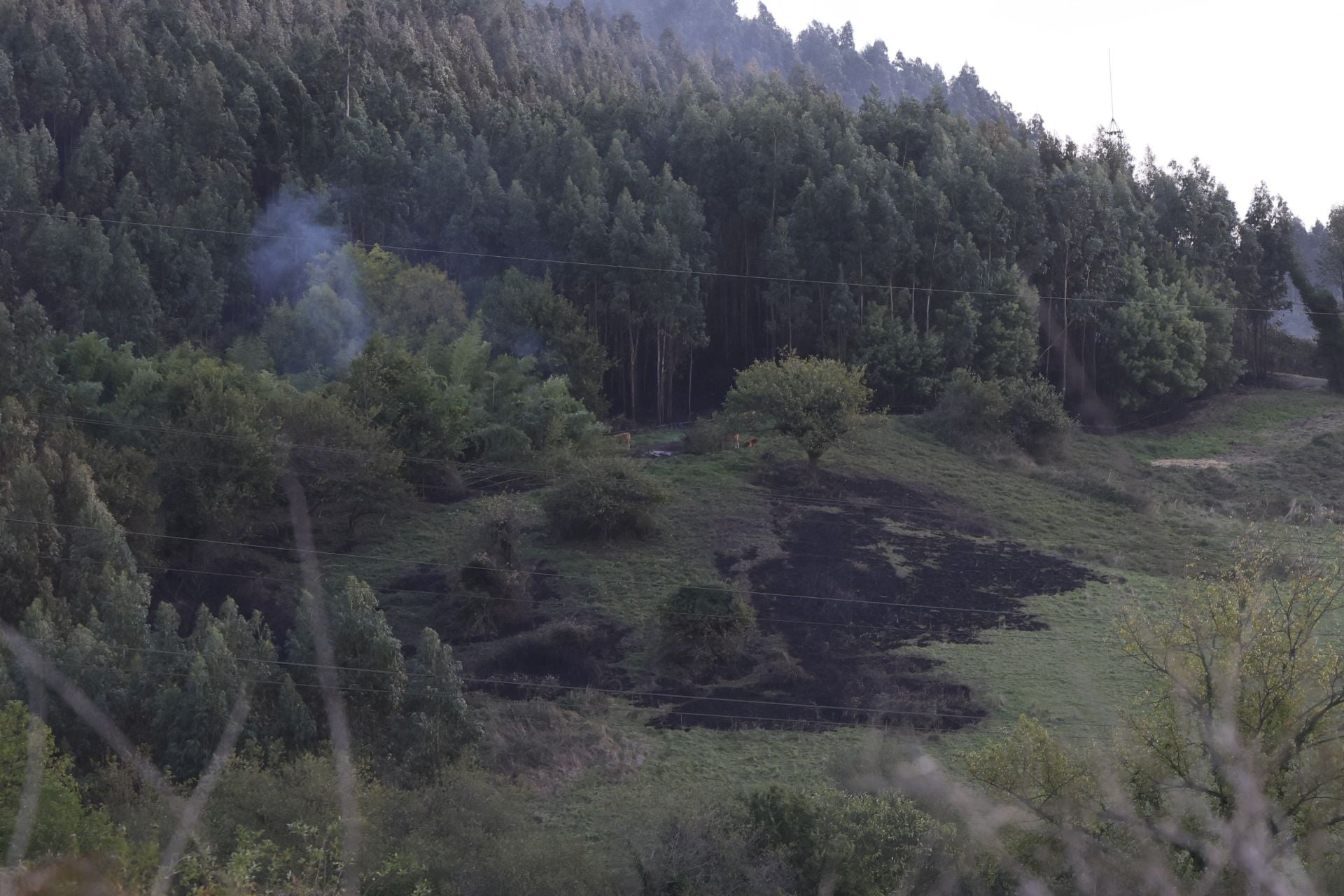 Así amaneció el Monte Areo, en Gijón: las desoladoras imágenes que deja el incendio