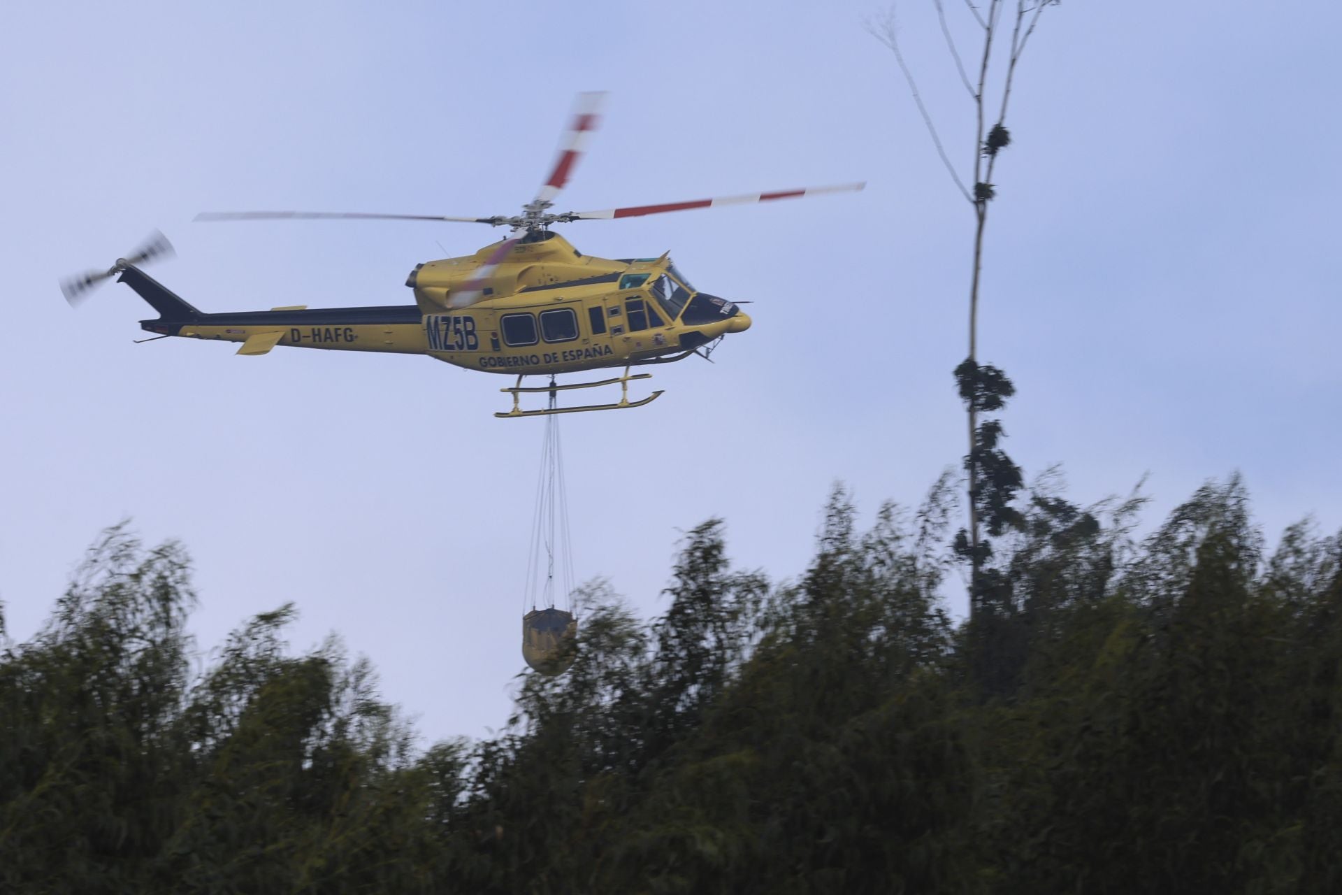 Así amaneció el Monte Areo, en Gijón: las desoladoras imágenes que deja el incendio