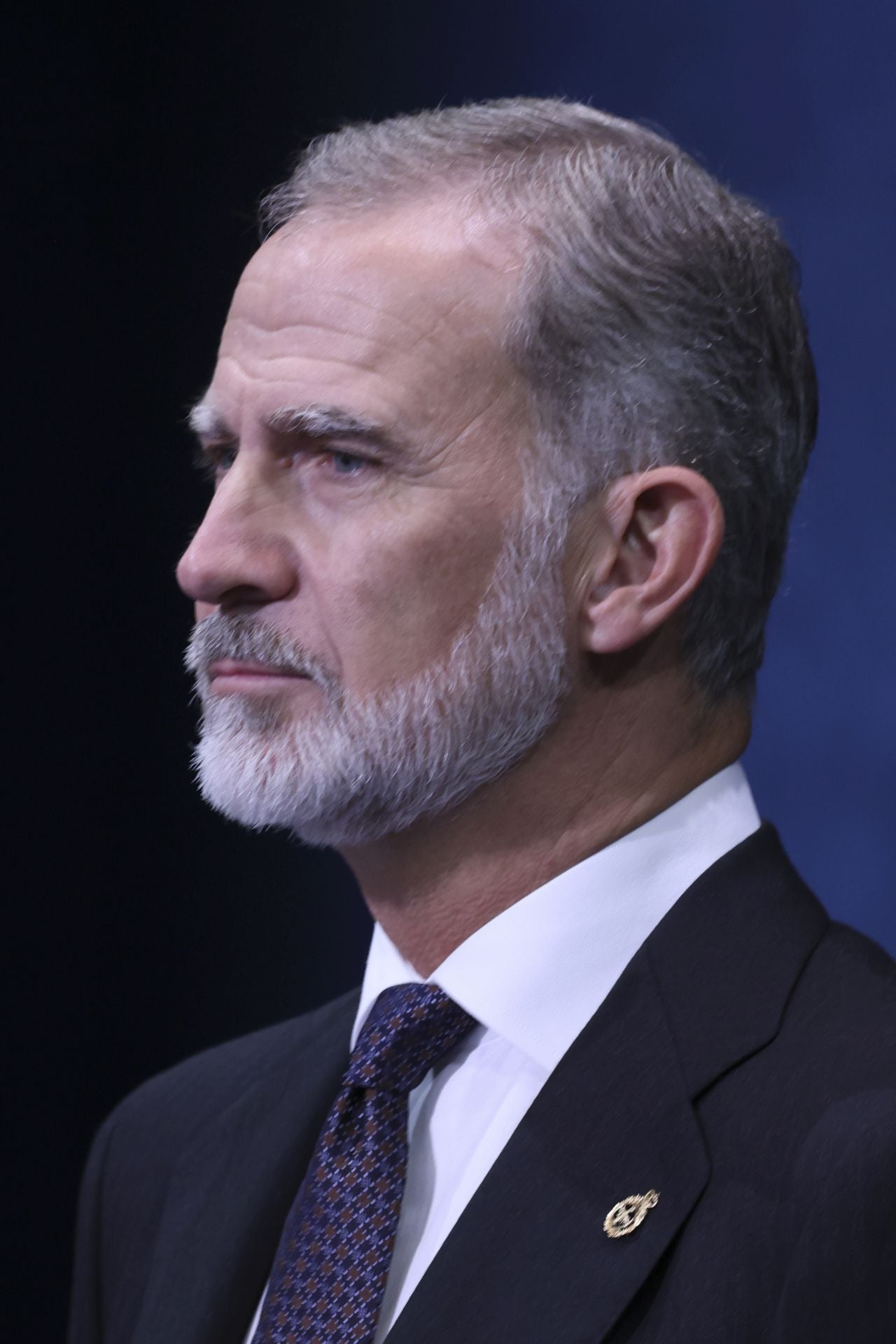 La gala de entrega de los Premios Princesa en imágenes