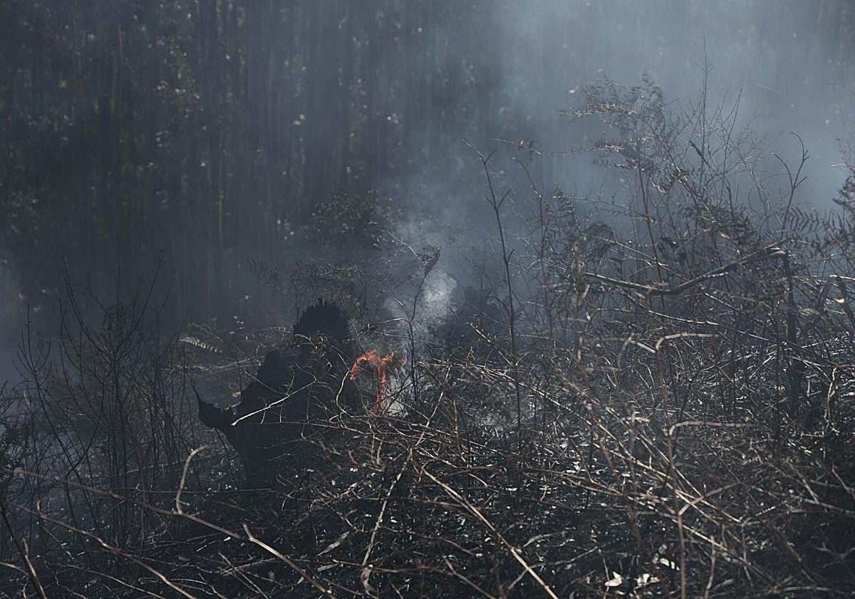 Imagen principal - El Monte Areo, en Gijón, recupera la normalidad, mientras la investigación sigue su curso