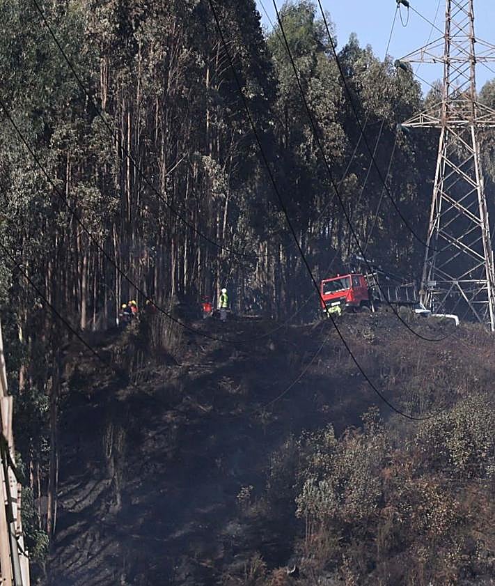 Imagen secundaria 2 - El Monte Areo, en Gijón, recupera la normalidad, mientras la investigación sigue su curso