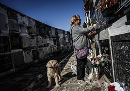 Una gijonesa coloca flores frescas acompañada de su perro en el nicho de un familiar.