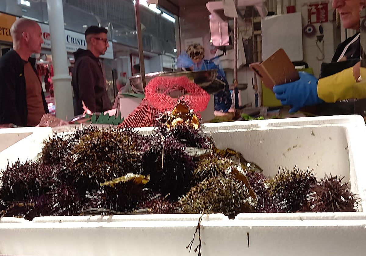 Cajón de oricios en Pescadería Semar esta mañana en el Mercado del Sur, en Gijón.