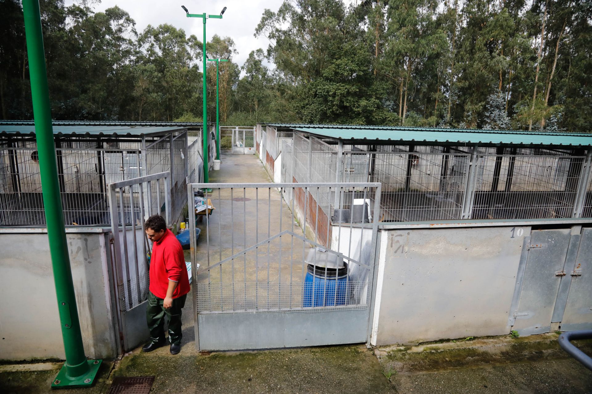 Instalaciones del Albergue de Animales de Serín, en agosto de 2023.
