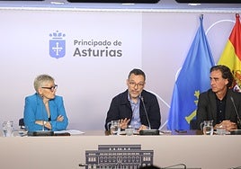 Concepción Saavedra, Sergio Calleja y Óscar Suárez, en la presentación del nuevo Código Ictus autonómico.