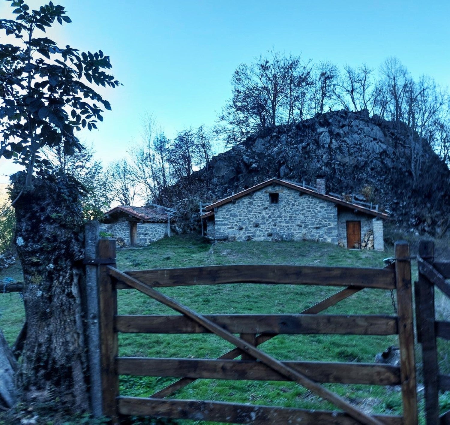 Imagen secundaria 2 - Detalles de elemantos que se van encontrando en la senda, más allá de las amplias vistas cumbreras.