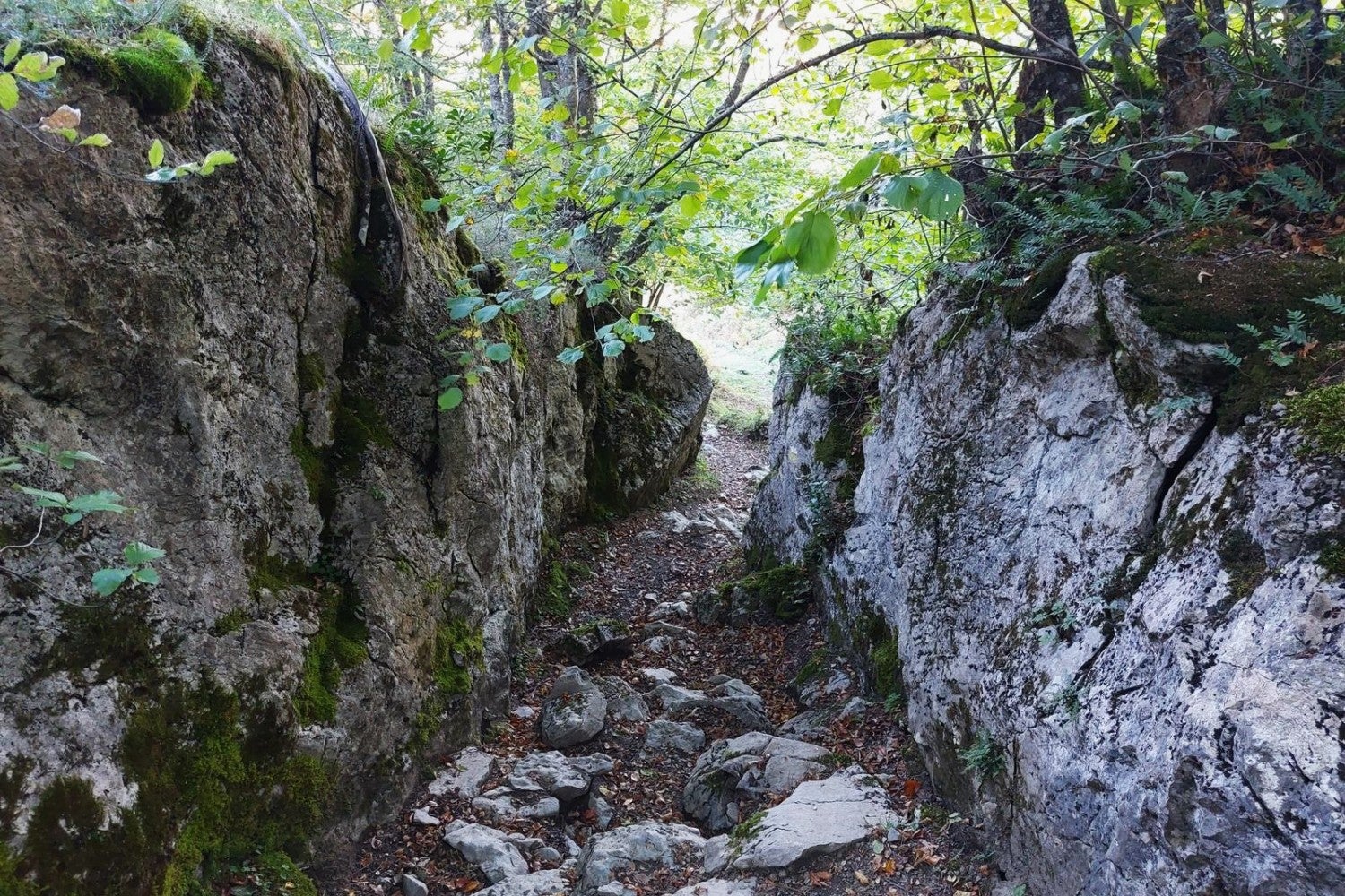 Paso estrehco a través del bosque rumbo al Cantu´l Osu.