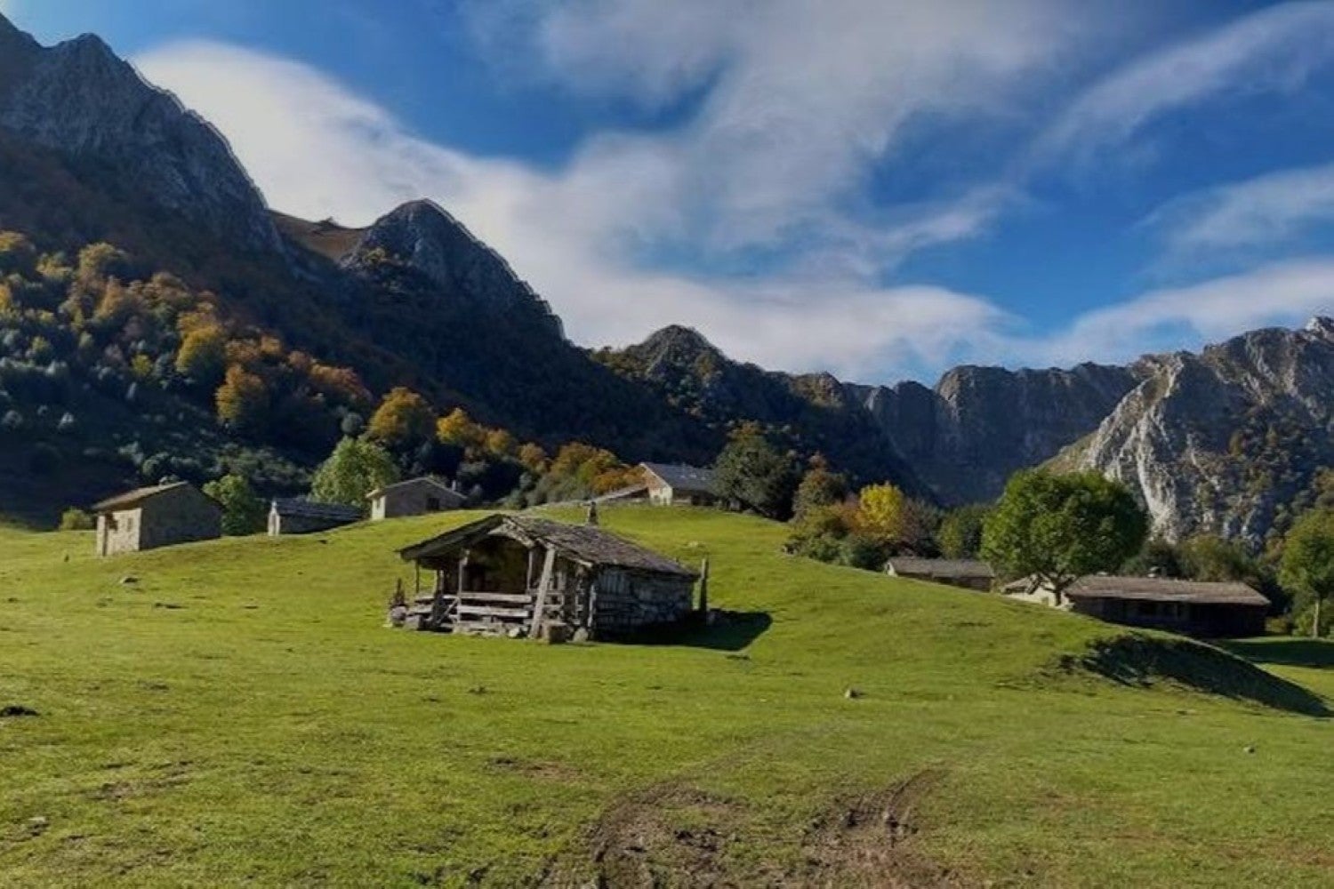 Imagen secundaria 1 - Detalles de Brañagallones.