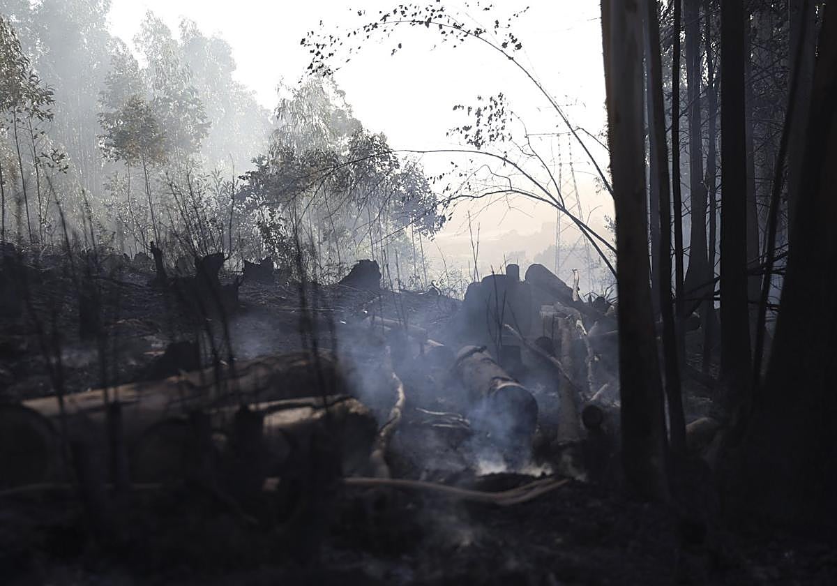 Estado en el que quedó parte del monte tras el incendio del 22 de octubre.