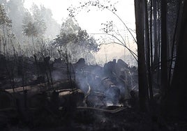 Estado en el que quedó parte del monte tras el incendio del 22 de octubre.