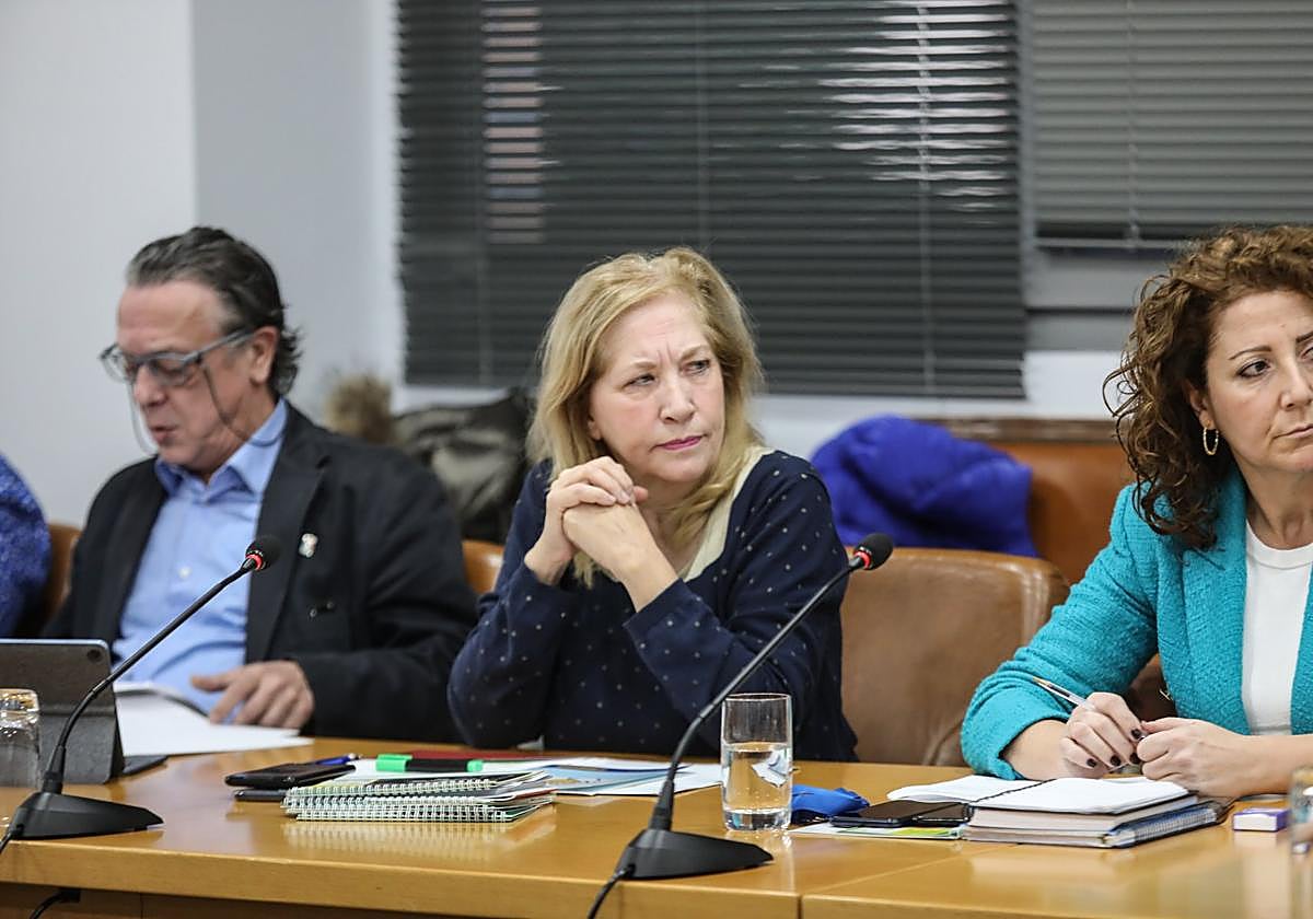 Rosa Rubio, en el Pleno.