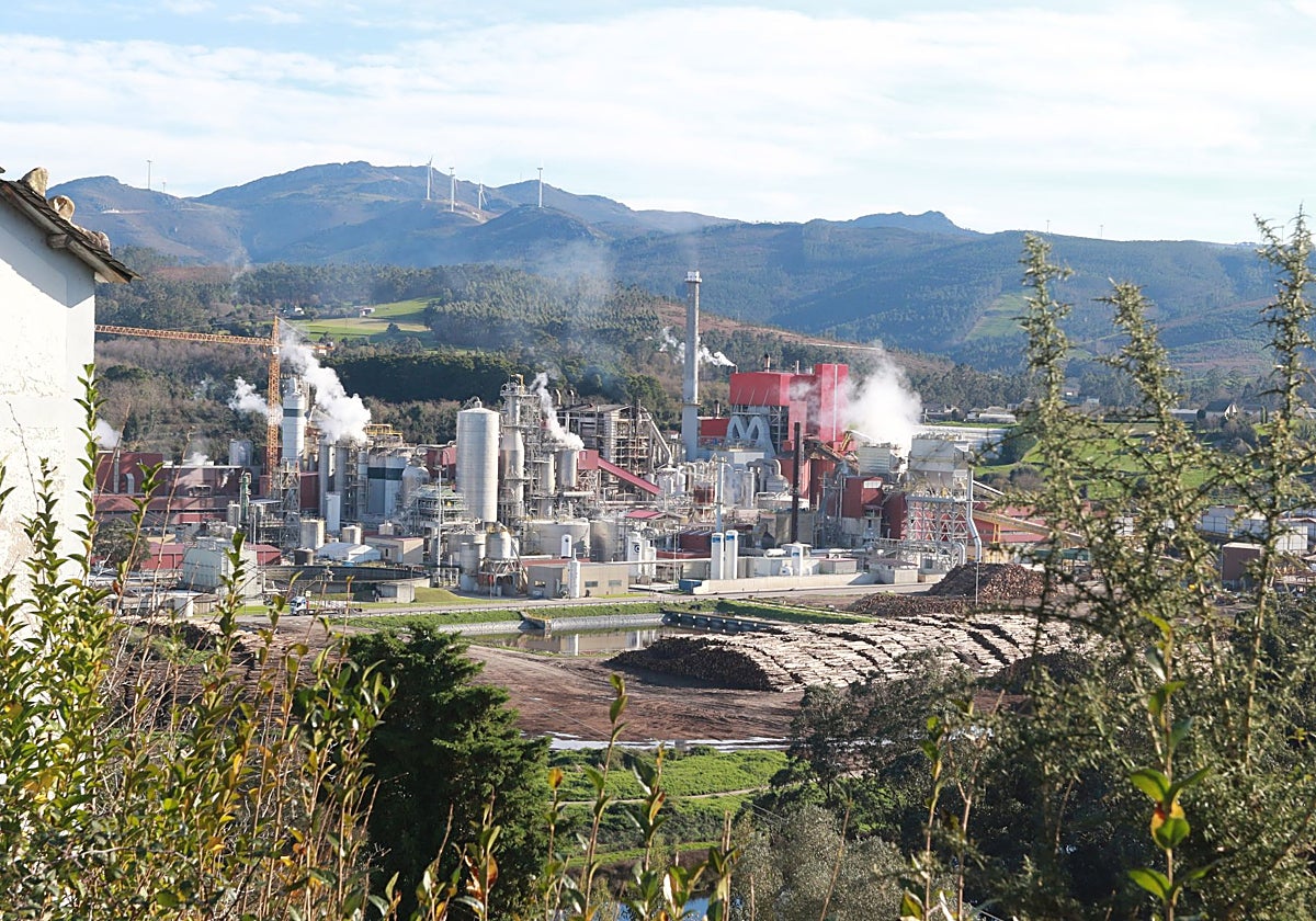 Biofábrica de Ence en Navia.