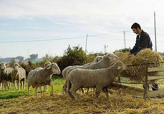 Las principales líneas de la estrategia europea de relevo generacional