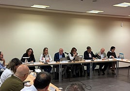 Reunión en el centro municipal Integrado de El Llano del Consejo de Distrito de dicho barrio.