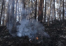 El Monte Areo tras la reactivación del incendio el pasado 22 de octubre.