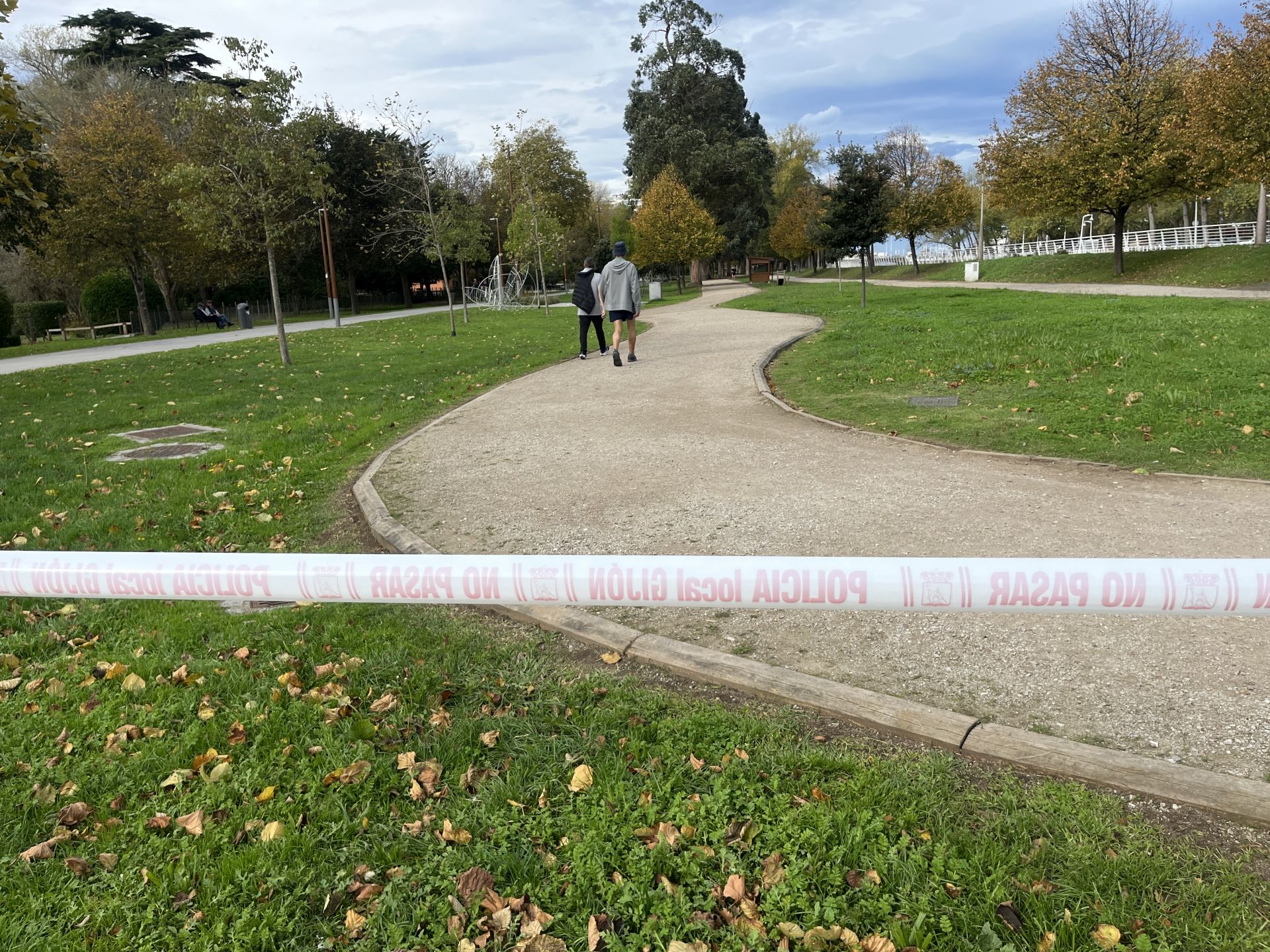 Los estragos del viento en Gijón, en imágenes