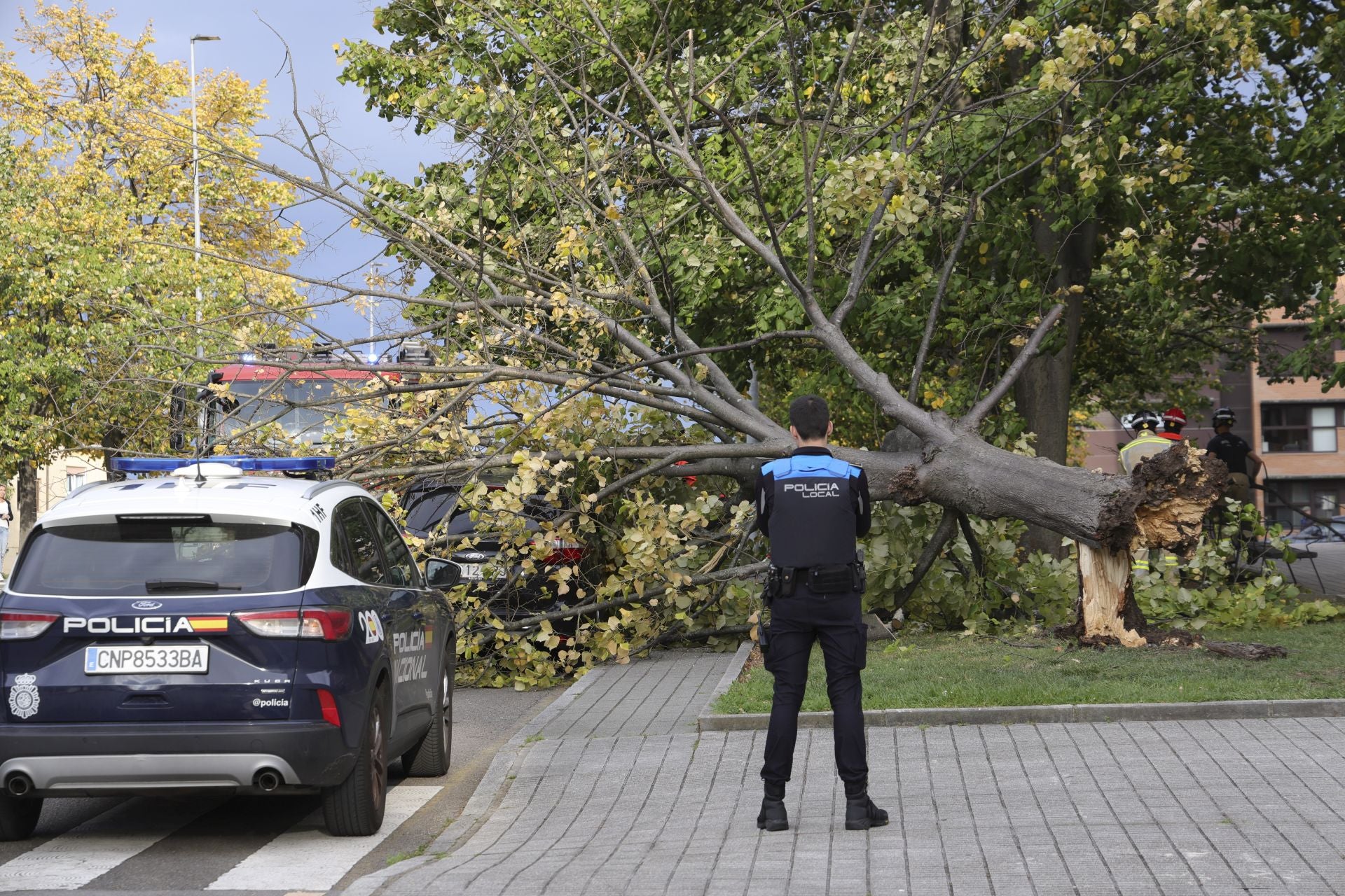 Los estragos del viento en Gijón, en imágenes