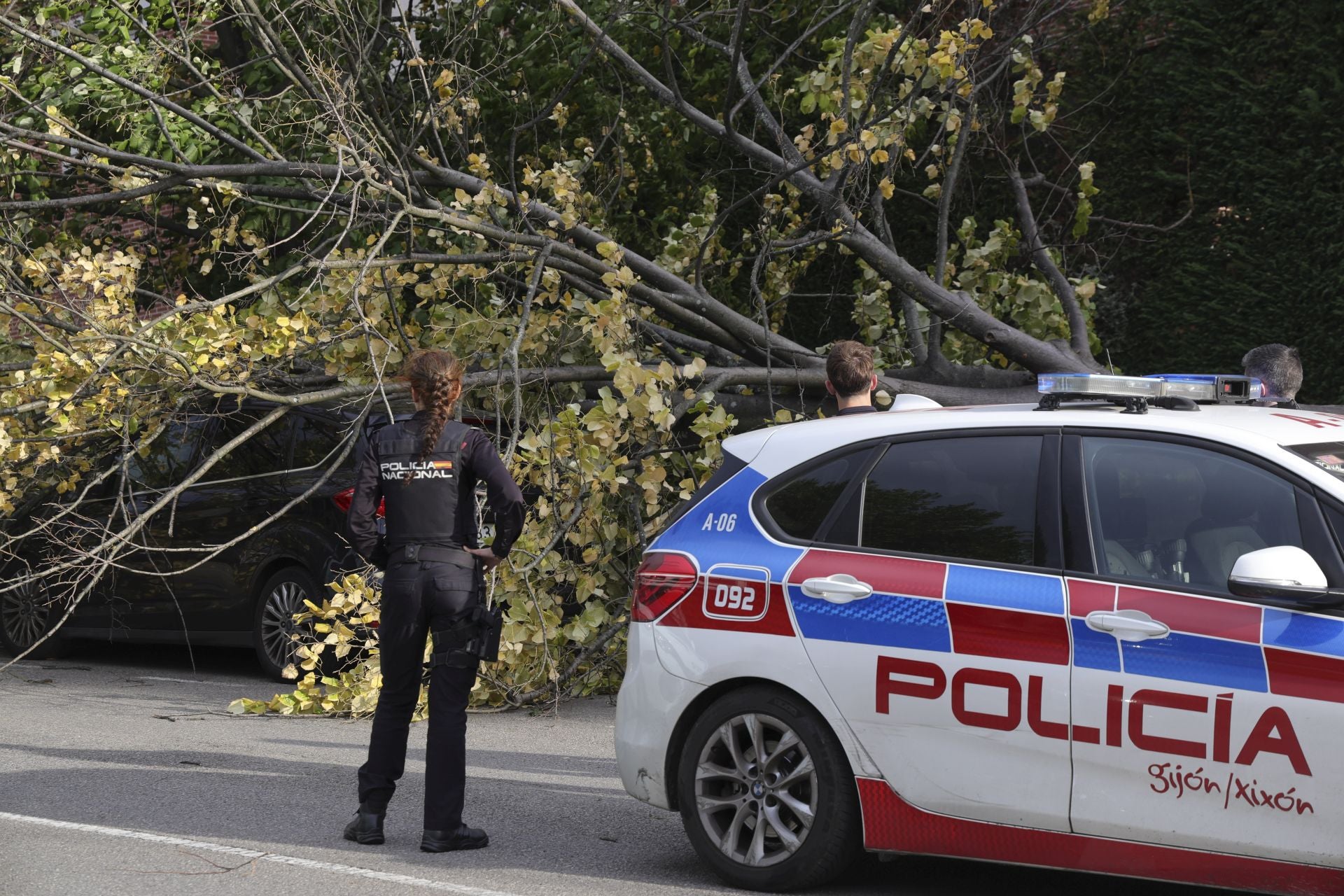 Los estragos del viento en Gijón, en imágenes
