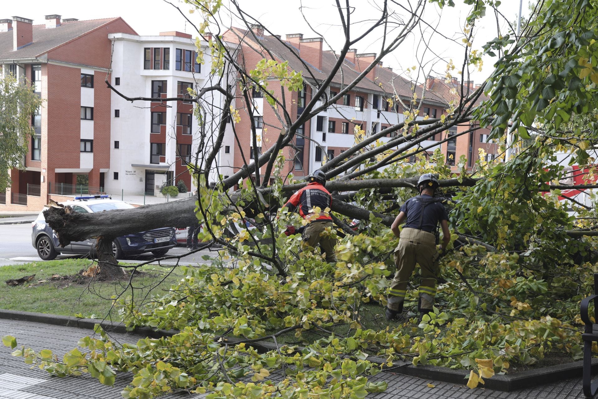 Los estragos del viento en Gijón, en imágenes