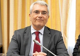 Lorenzo Cotino.