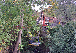 Operarios trabajando en la conservación del río La Ferrera.