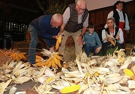 Un grupo de personas de todas las edades esfoyan las panoyas en el Pueblu d'Asturies