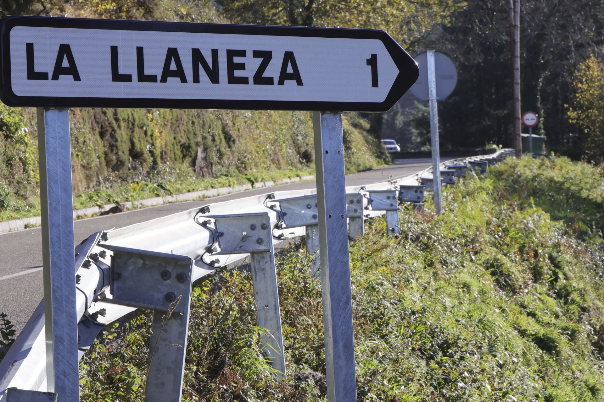 Tomasín, en paradero desconocido: las imágenes de la búsqueda en Tineo