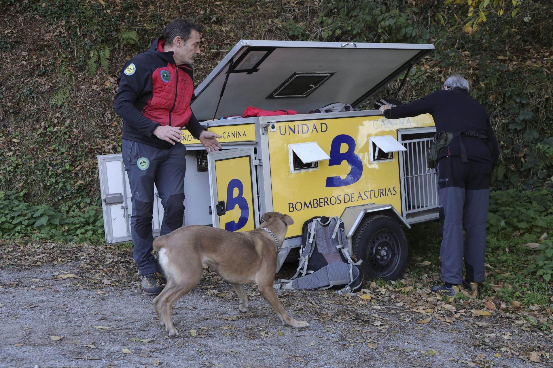 Tomasín, en paradero desconocido: las imágenes de la búsqueda en Tineo