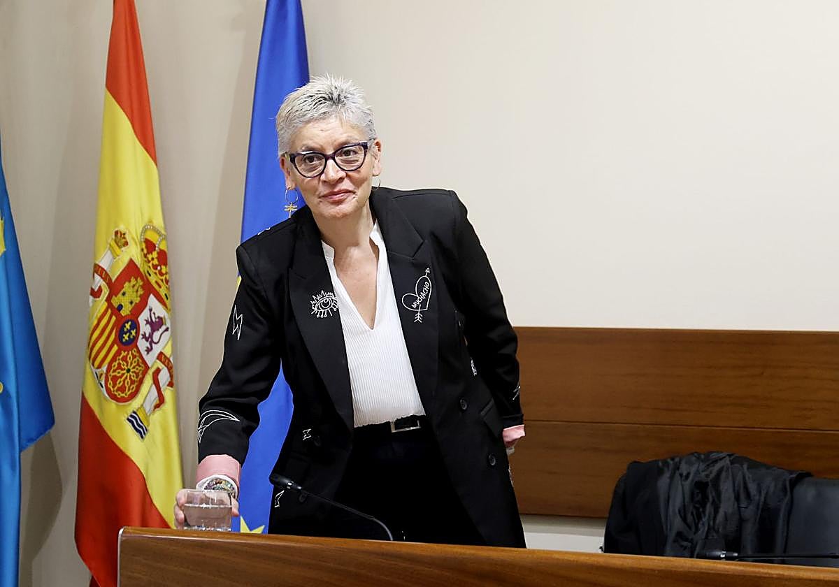 La consejera de Salud del Principado, Concepción Saavedra, esta mañana, durante su comparecencia en la Junta General del Principado.