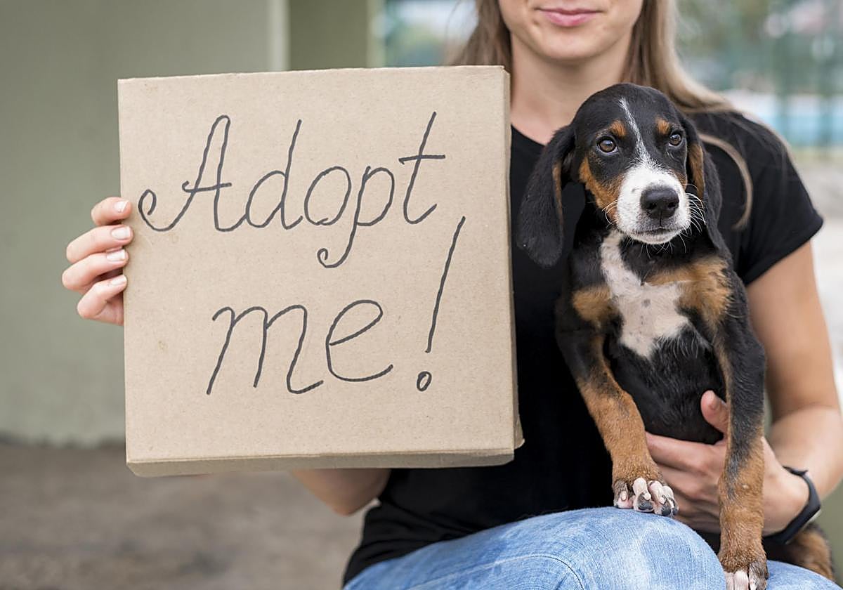Una mujer, con su perro, sostiene un cartel que dice 'adóptame'.