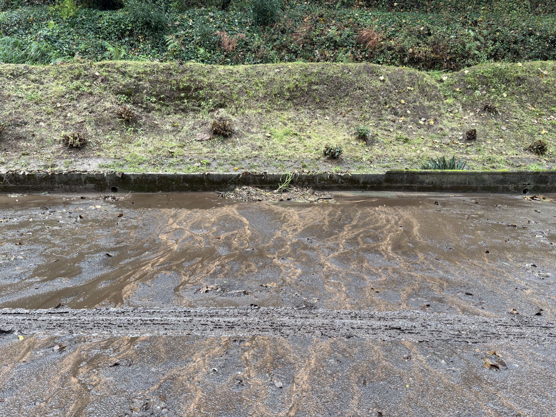 El río Raíces, desbordado a su paso por Salinas 