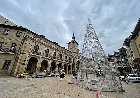 El árbol ya instalado en la plaza de la Constitución.
