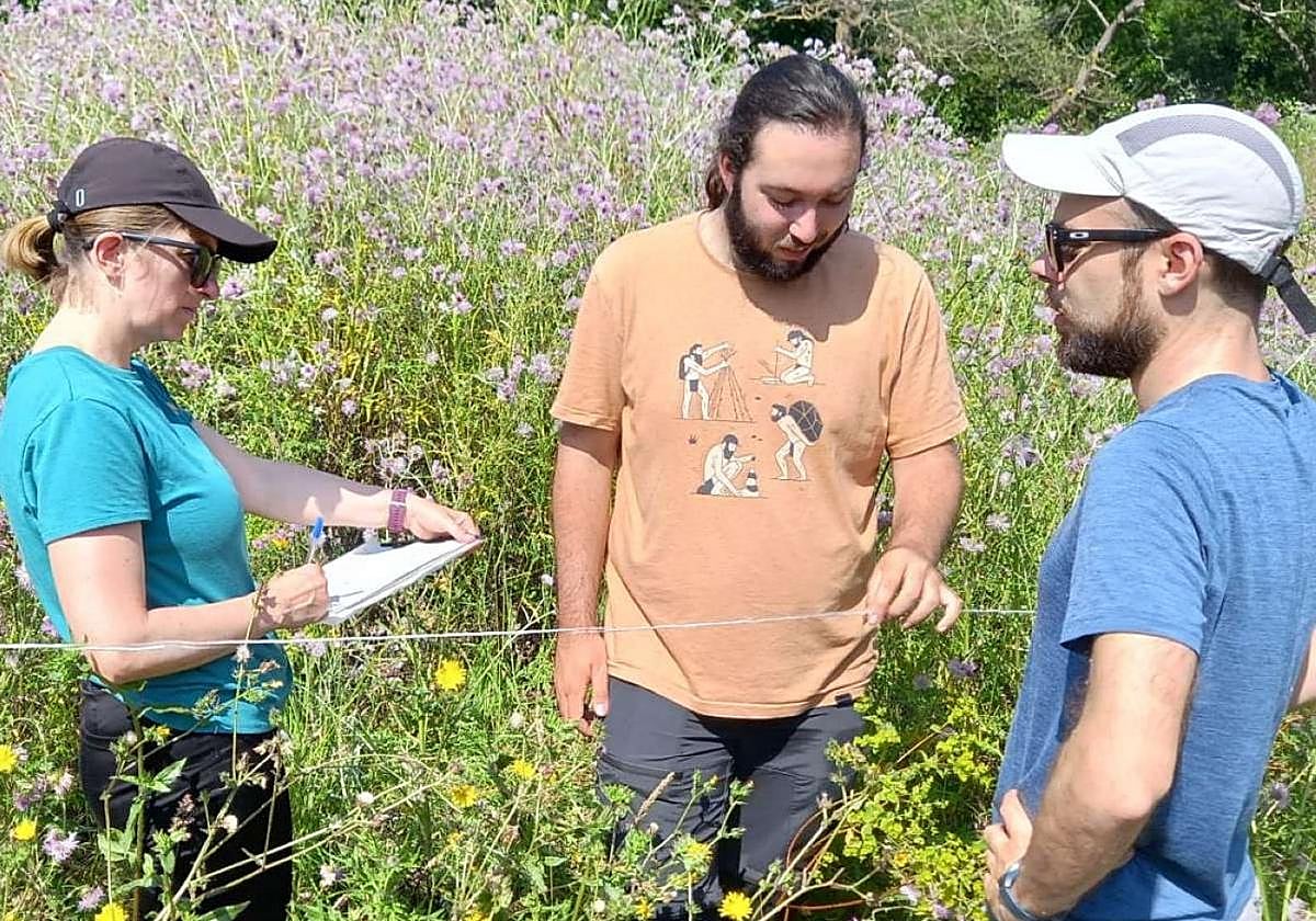 Trabayos de naturalización urbana en Xixón, tema del artículu de Xuan Carlos Martínez Álvarez.