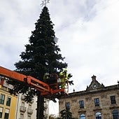 Operarios trabajando en el montaje del árbol de Navidad de la plaza Mayor.