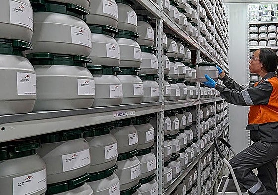 Una trabajadora de ArcelorMittal Powders coloca un recipiente con polvos de acero en la factoría de Avilés.