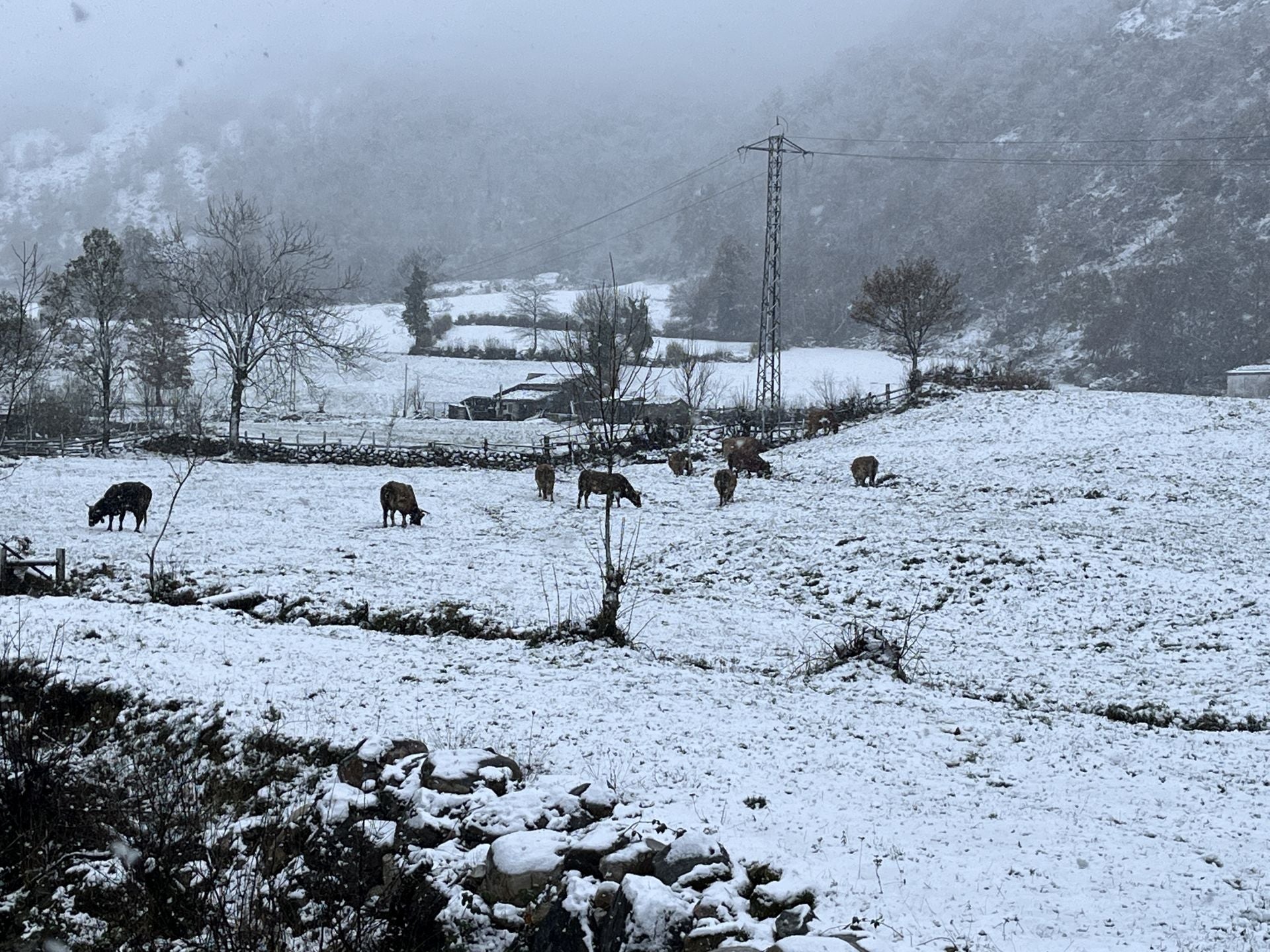 Nieve, granizo y frío en Asturias