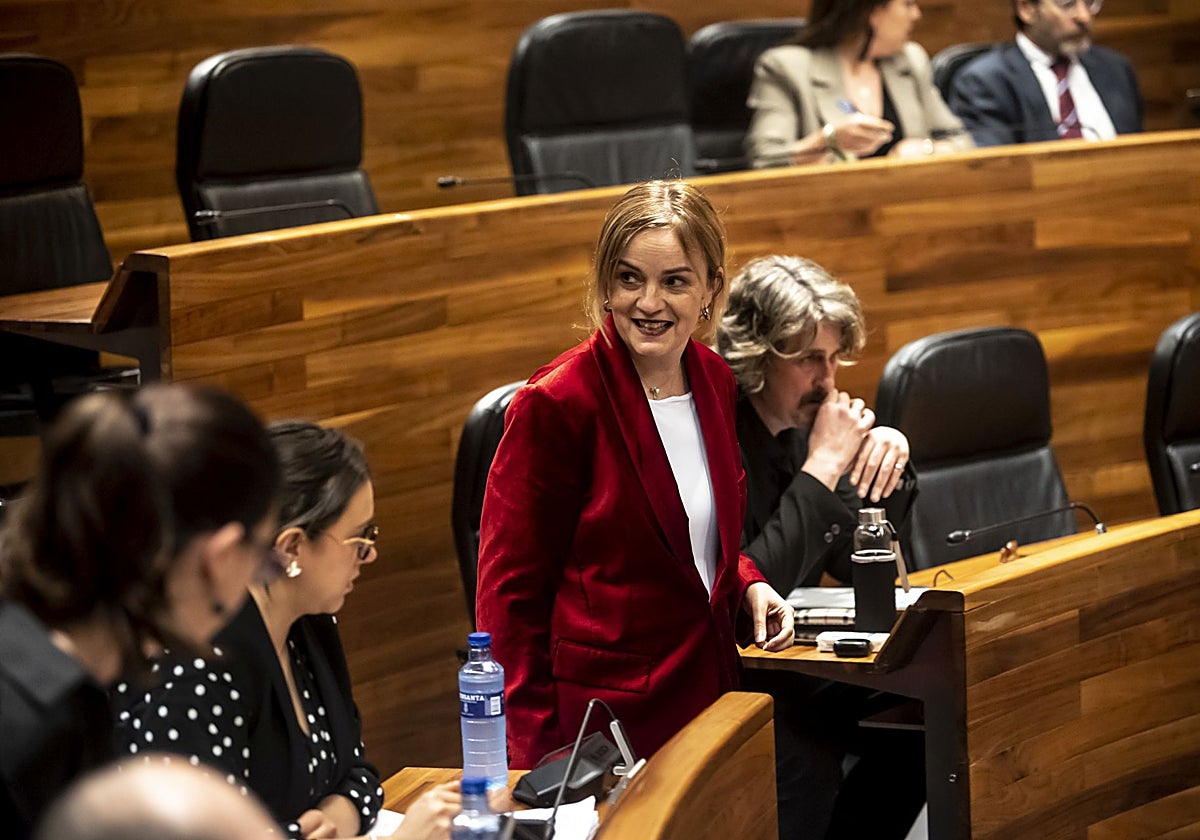 Covadonga Tomé, en un pleno en la Junta General.