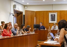 El viernes se celebra el Pleno en el que el Gobierno avilesino tratará de remunicipallizar varias servicios.